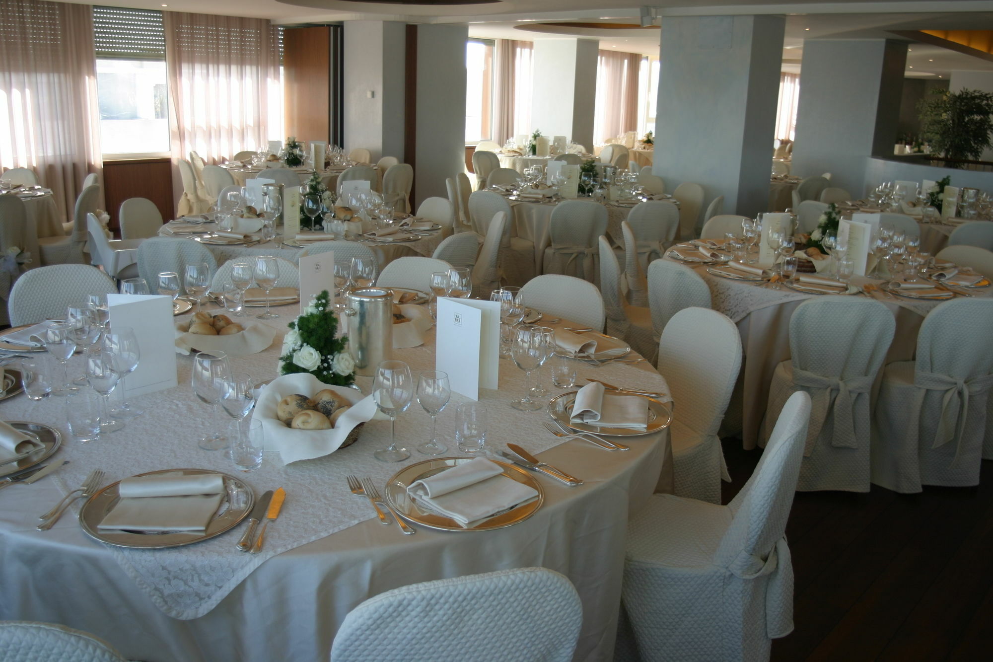 City Hotel Senigallia Extérieur photo